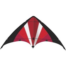 Günther flugspiele aquilone usato  Spedire a Italy