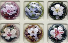 Fagot fleur nouvelle d'occasion  Reims