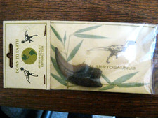 Albertosaurus dinosaur raptor for sale  OSWESTRY