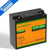 Eco worthy 12v gebraucht kaufen  Hamburg