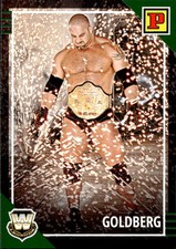 Card panini wwe usato  Italia