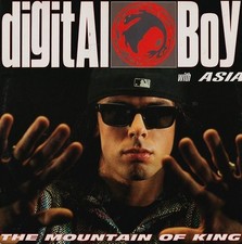 Digital boy the d'occasion  Beausoleil