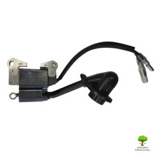 Bobina elettronica originale usato  Camaiore
