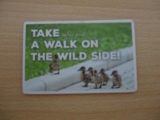 Magnet gebraucht kaufen  Espelkamp