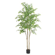 fake ficus 7 tree for sale fake ficus 7 tree for sale Brentwood