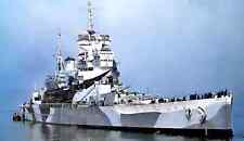 Royal navy king for sale  WATERLOOVILLE