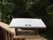 Birds choice bluebird for sale  Fremont