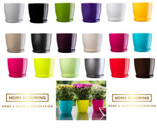 Plant flower pot for sale  BROMLEY