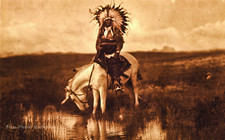 Vintage edward curtis for sale  Tampa