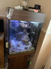 Juwel rio 125 for sale  BRIDGWATER