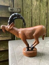 mountain goat for sale mountain goat for sale KING'S LYNN