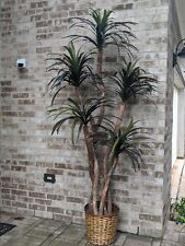 Silk artificial dracaena for sale  Houston