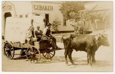 Cartão postal 1909 RPPC Homecoming Parade carrinho de boi e loja pioneira decoração frontal Iowa comprar usado  Enviando para Brazil