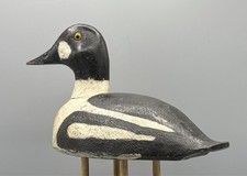 goldeneye decoys for sale  Franklin