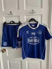 Reduced everton season for sale  UK