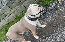 Focinho de cachorro de couro para American Bully, Bully XL e outros focinhos semelhantes. comprar usado  Enviando para Brazil