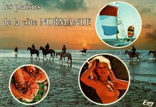 Plaisirs côte normande d'occasion  Pontailler-sur-Saône