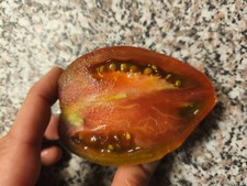 Tomatensamen purple passion gebraucht kaufen Tomatensamen purple passion gebraucht kaufen  Stadtroda