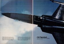 Northrop tigershark fighter for sale  Flowery Branch
