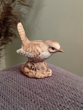 Wren bird small for sale  SUTTON-IN-ASHFIELD
