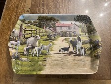 Border collie puppy for sale  DOWNHAM MARKET