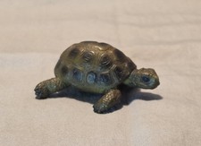 russian tortoise for sale russian tortoise for sale Plano
