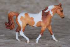 stablemates gebraucht kaufen stablemates gebraucht kaufen Leverkusen