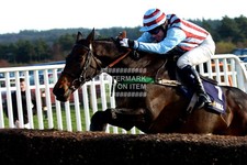 2004 best mate for sale  LEEDS