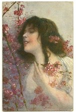Illustratori donnine giovane usato  Campobasso