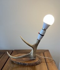 Deer horn antler for sale  PERTH