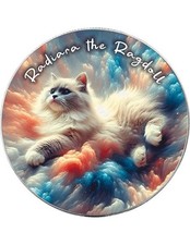 gatto ragdoll usato gatto ragdoll usato Italia