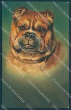 Animali cane bulldog usato  Gambolo
