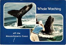 Continental postcard whale for sale  San Gabriel
