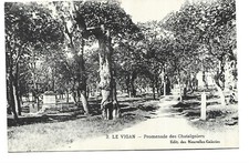 Vigan promenade chataigniers d'occasion Vigan promenade chataigniers d'occasion  Toulon-