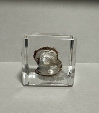 Vintage lucite clam for sale  Dowagiac