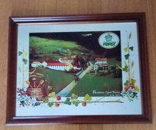 Quadro specchio birra usato  San Benedetto del Tronto