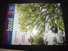 Revue bonsai acer d'occasion  Divion