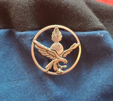 Authentique insigne béret d'occasion  Castelnaudary
