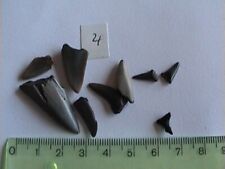 haifischzahn fossil gebraucht kaufen haifischzahn fossil gebraucht kaufen Köln