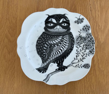 Linda balducci wild for sale  ROSS-ON-WYE