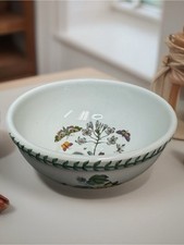Vintage portmeirion botanic for sale  Winter Park