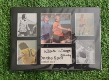 Wolves northern ireland for sale  CREWE