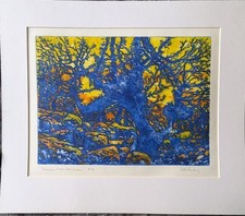 Evening wistman wood for sale  GUNNISLAKE