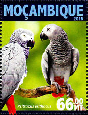 Postfrisch mnh vogel gebraucht kaufen  Unna