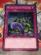 Spicy insect nest d'occasion  Expédié en Belgium