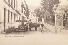 Cartolina - Portogallo - Funchal - Rua do  Conselheiro - 1900 ca. comprar usado  Enviando para Brazil