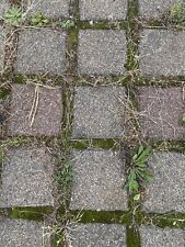 Beton pflastersteine gebraucht gebraucht kaufen  Freiburg im Breisgau