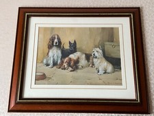 Spaniels terriers dogs for sale  CARLISLE