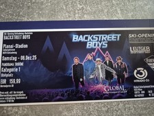 Backstreet boys schladming gebraucht kaufen  Mühlberg