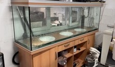 Fish tank 600 for sale  CHELMSFORD